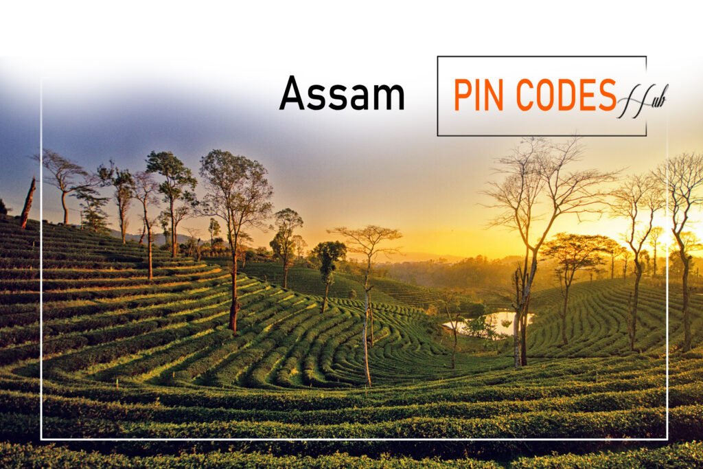 3. Assam Pincodes: Complete List 33 Districts: