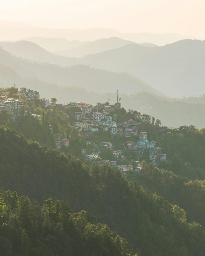 Shimla
